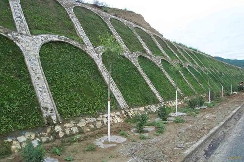 1591106266281341.jpg 護(hù)坡工程2.jpg